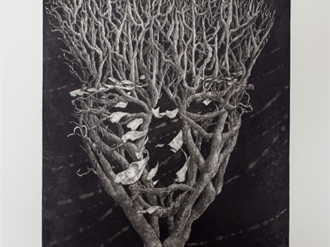 Tomiyuki Sakuta, Obra, A lonely tree , Arte Hoy, Galería