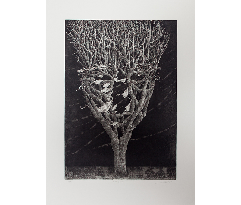 Tomiyuki  Sakuta, Obra, A lonely tree, Arte Hoy, Galería